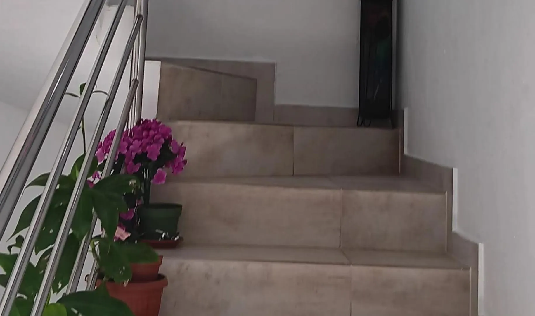 Iggy Apartment Malinska Croatia